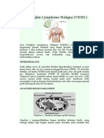 Non Hodgkin Lymphoma Maligna