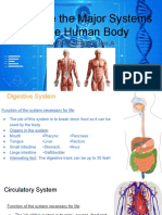 Human Body System Project 2