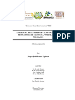 Beneficiado de cacao en fincas de Waslala