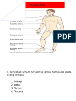 Hematuria