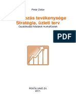 vállalkozás stratégiája, üzleti terv.pdf