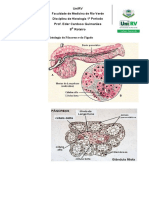 8 Roteiro tec Fígado e do Pâncreas