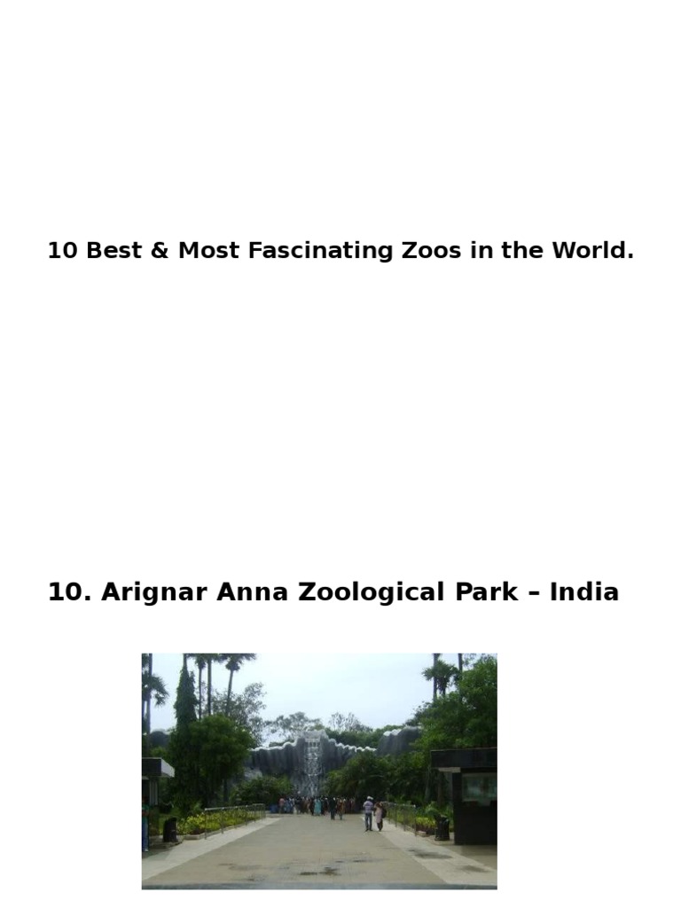 Top 10 Fascinating Zoos Worldwide | PDF | Zoo | Conservation