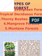 Types of Forest