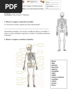 Questão Aula 1 Estudo Do Meio Esqueleto