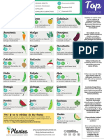 Calendario de Siembra de Hortalizas de Febrero