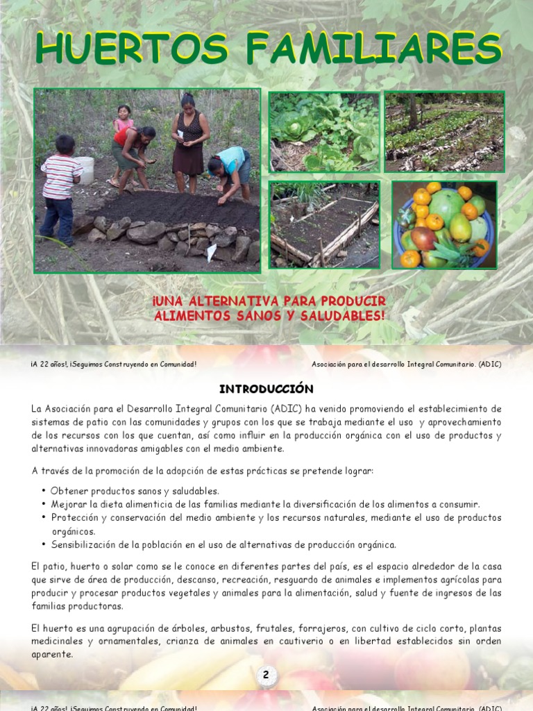Cómo establecer huertos familiares para producir alimentos sanos y ...