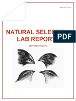 natural selection lab report