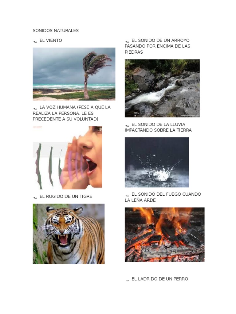 Sonidos Naturales PDF