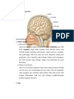 Anatomi Fisiologi Otak