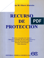 Recurso de Proteccion Cristian Olave Alarcon