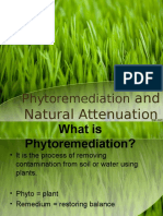 And Natural Attenuation: Phytoremediation
