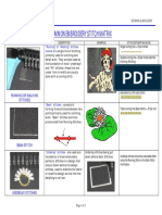 Common Emb PDF