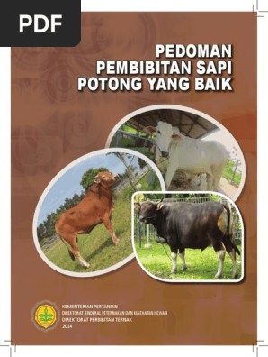 Pedoman Pembibitan Sapi Potong Yang Baik Pdf