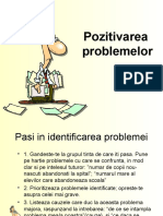 Pozitivarea Problemei Elecro