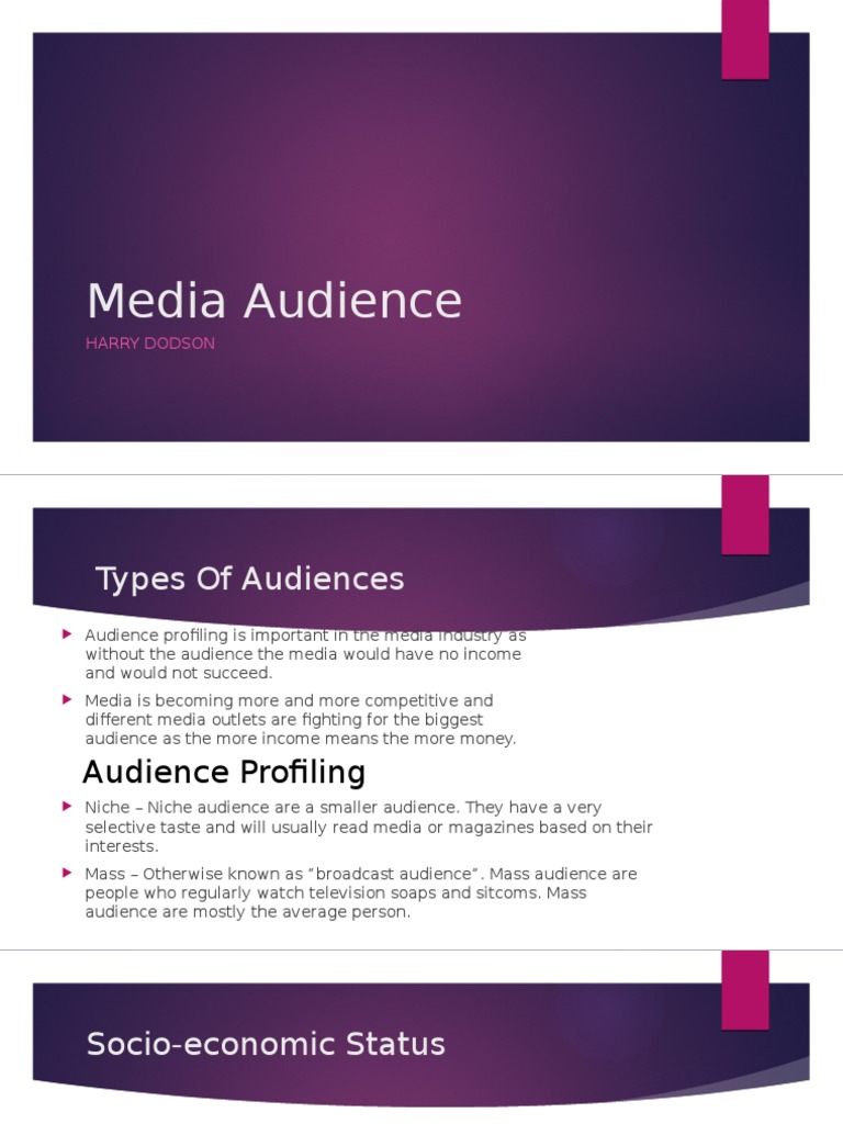 Understanding Media Audience Profiling | PDF