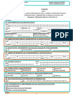 Formular Cerere Icc PDF
