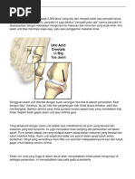 Download asam-urat by Andrie Kamso SN33865062 doc pdf