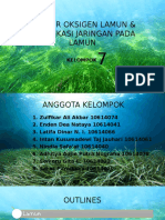 Oksigen Pada Lamun Edit