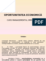 Oportunitatea Economica Curs IMM (1)