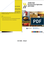 FAO PErspectivas Agrícolas no Brasil 2015-2024.pdf