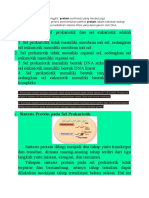 Sintesis Protein dan Replikasi DNA