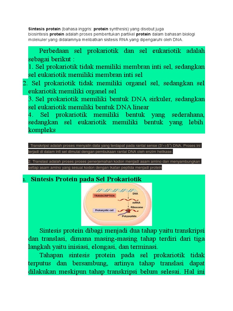 Apa Yang Dimaksud Tahap Inisiasi Elongasi Dan Terminasi  
