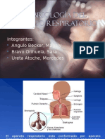 Embriología Del Aparato Respiratorio