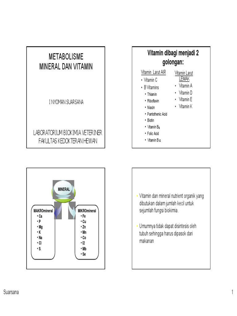 Metabolisme Vitamin Mineralpdf