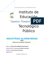 294373381-Bebida-Hidratante-Informe.docx