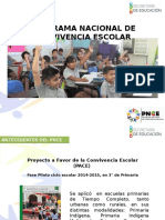 4-Pnce Presenyacion