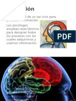 Cognición