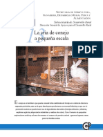 La cria de Conejo.pdf