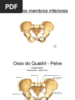Membros Inferiores