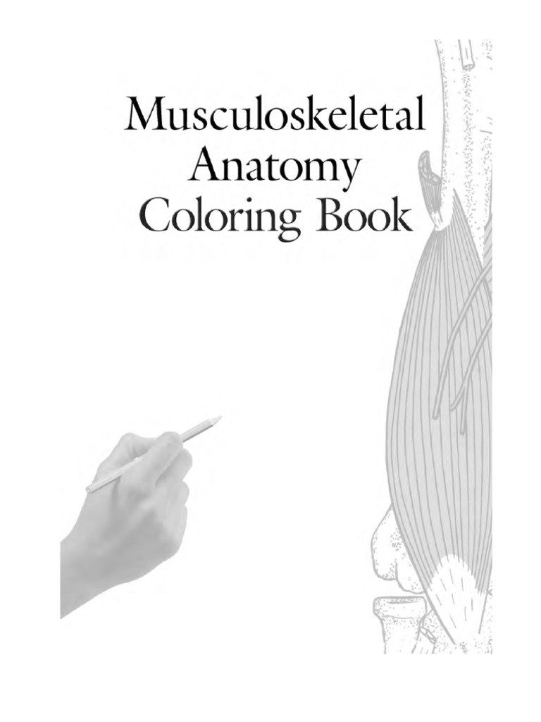Musculoskeletal Anatomy Coloring Book PDF | PDF | Foot | Human Leg