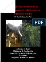 121-Folleto-HEMATURIA.doc.pdf
