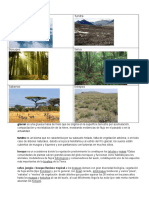 Biomas terrestres: glaciares, tundra, bosques, selvas, sabanas y estepas