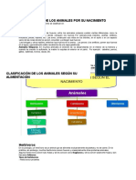 Clasificación de Los Animales