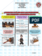 Infografía de Los Principios Generales Del Derecho Administrativo en Venezuela