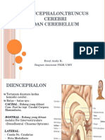 Diencephalon, Truncus Cerebri Dan Cerebellum, DR Risal Snc2