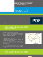 Miología (1)