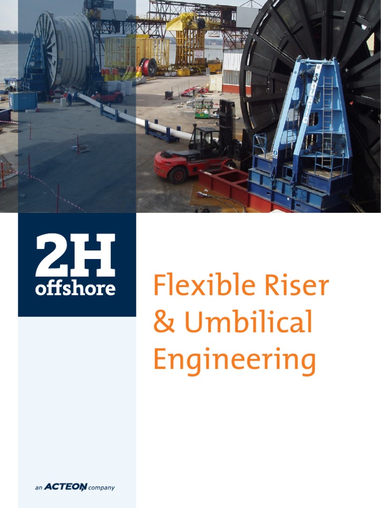 Flexible Riser Engineering Services | PDF | Offshore Drilling | Engineering