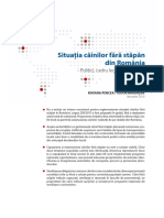 FES Report Straydogs Ro PDF