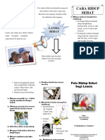 Leaflet Pola Hidup Sehat PDF