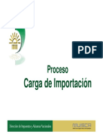 Proceso de Carga PDF