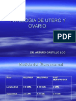 Utero Patologico Ultra 2