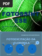 fotossintese.pptx