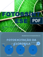 Fotossintese