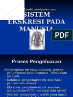 Sistem Ekskresi Pada Manusia