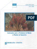 Tamareira.pdf